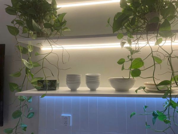 Vườn Lá Studio 3201 L1 - Homestay Ecopark