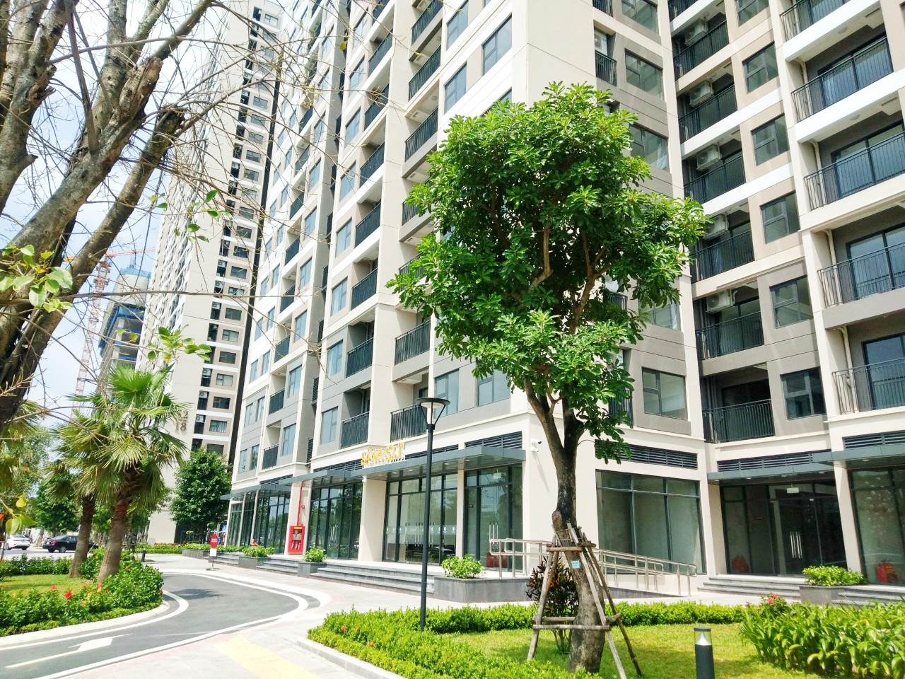 Thuê chung cư Vinhomes Ocean Park? Chia sẻ kinh nghiệm