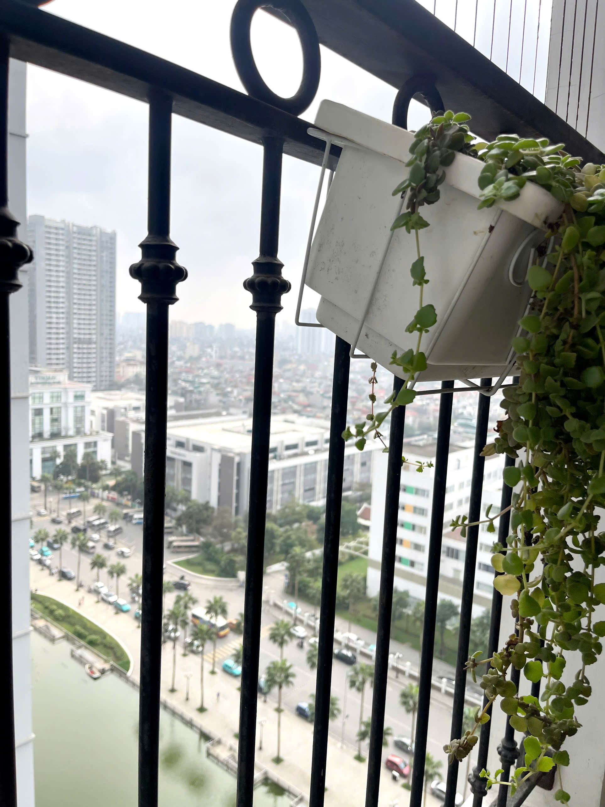 Serein 1PN T10.12AZ15 - Homestay Times City