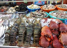 Hải sản tươi sống tại Bãi Cháy